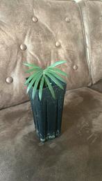 Cycas panzhihuaensis zaailing, Tuin en Terras, Planten | Tuinplanten, Ophalen of Verzenden, Zomer, Volle zon