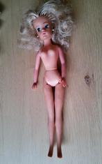 Vintage Barbie Sindy Fleur Tienerpop blond haar echte wimper, Fashion Doll, Ophalen of Verzenden