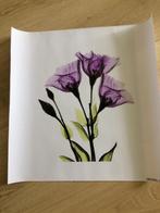 Bloemen op canvas, paars., Minder dan 50 cm, Nieuw, Ophalen of Verzenden, Schilderij