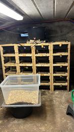 Muizen en ratten kweekbakken