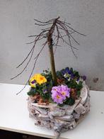 Te koop leuk voorjaars stuk met Salix, Primula en viooltjes, Ophalen, Overige soorten, Volle zon