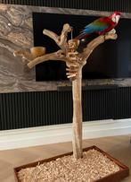 Te koop zeeer tamme groenvleugel 35 weken, Ophalen of Verzenden, Zo goed als nieuw, Speelgoed