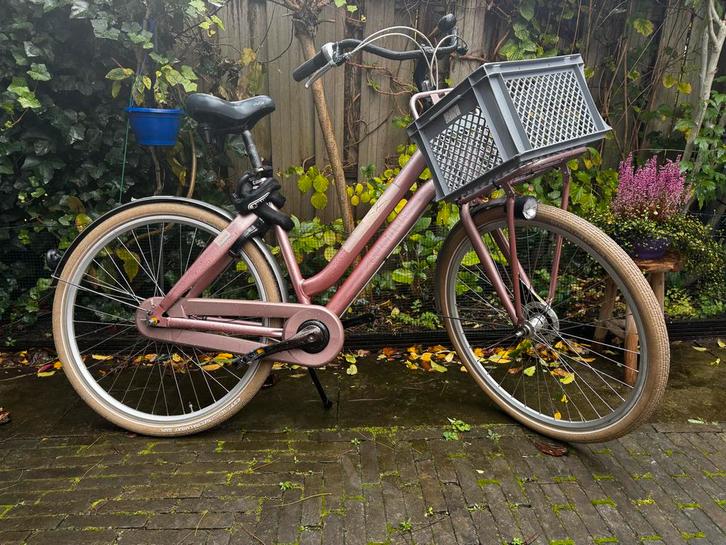 Cortina U4 Transport - Metallic Roze, Fietsen en Brommers, Fietsen | Dames | Damesfietsen, Gebruikt, Overige merken, Versnellingen