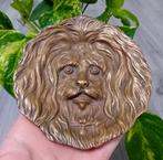 vintage massief messing hondgezicgt schaaltje, Ophalen of Verzenden