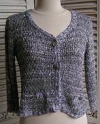 vest Elisa Cavaletti maat 38 nr NN 291, Kleding | Dames, Truien en Vesten, Elisa cavaletti, Verzenden, Zo goed als nieuw, Maat 38/40 (M)