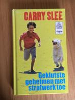 Carry Slee: Geklutste geheimen met strafwerk toe, Non-fictie, Ophalen of Verzenden, Carry Slee, Zo goed als nieuw