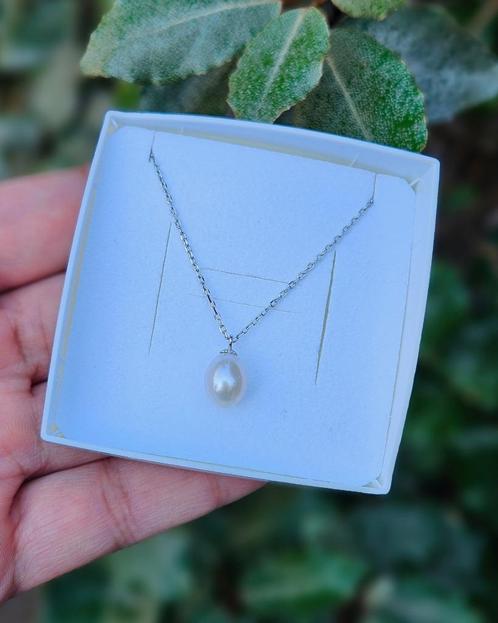 Zoetwaterparel Ketting Asta - Echt Zilver, Sieraden, Tassen en Uiterlijk, Kettingen, Nieuw, Zilver, Zilver, Met hanger, Verzenden