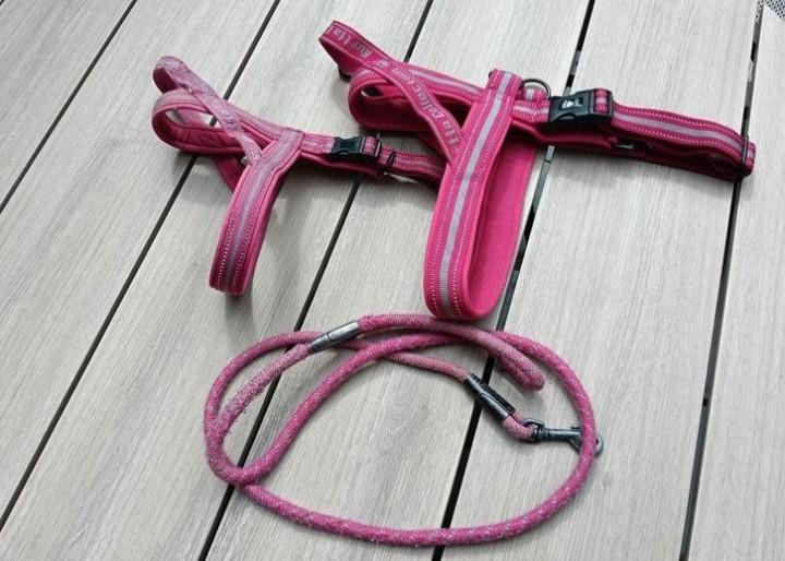 Hurtta Harnas (tuig) Casual Eco, Dieren en Toebehoren, Hondenriemen, Ophalen of Verzenden
