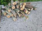 Brandhout stammen, Tuin en Terras, Haardhout, Minder dan 3 m³, Ophalen, Overige houtsoorten, Stammen
