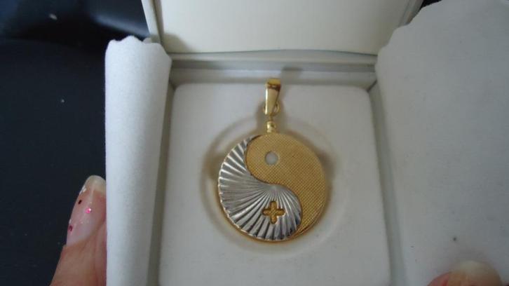 Goud op zilver Originele Biostabil ketting hanger, Sieraden, Tassen en Uiterlijk, Kettingen, Zo goed als nieuw, Overige materialen