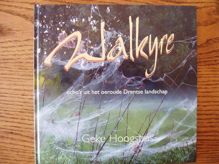 Walkyre Echo's uit het oeroude Drentse landschap G Hoogstins, Boeken, Kunst en Cultuur | Beeldend, Zo goed als nieuw, Schilder- en Tekenkunst