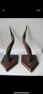 2 Grote prachtige Antiloop Hoorns op Houten Plaque, Ophalen of Verzenden, Gebruikt