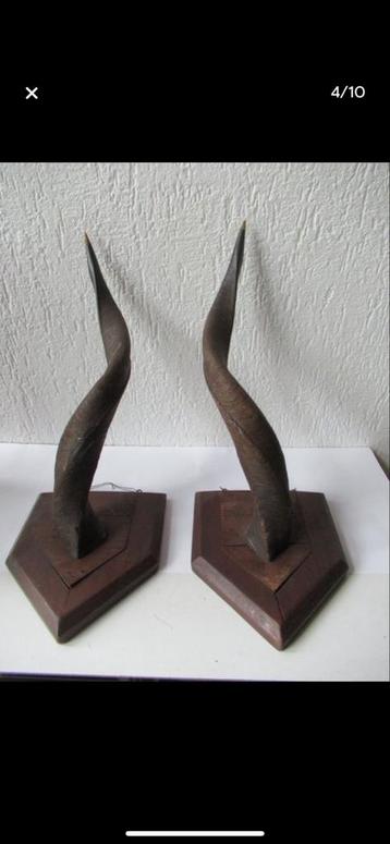 2 Grote prachtige Antiloop Hoorns op Houten Plaque beschikbaar voor biedingen