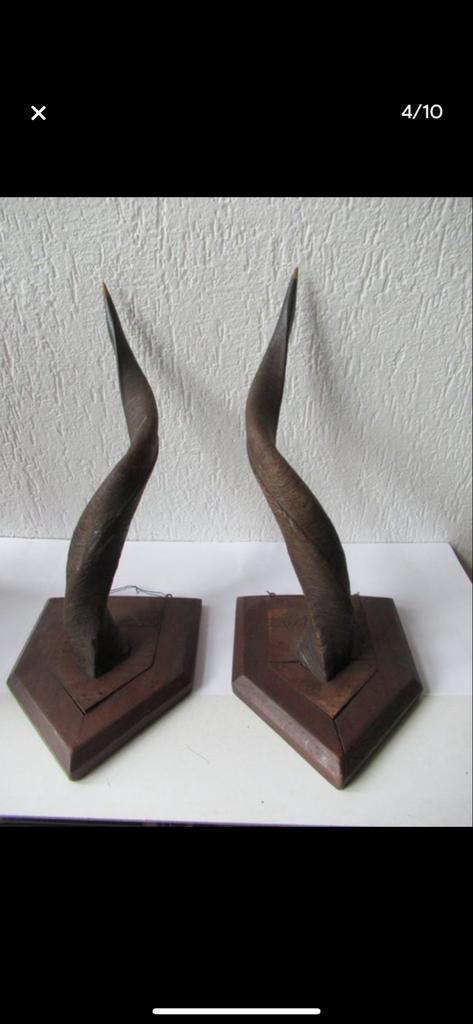 2 Grote prachtige Antiloop Hoorns op Houten Plaque, Huis en Inrichting, Woonaccessoires | Wanddecoraties, Gebruikt, Ophalen of Verzenden