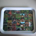 Mooi dienblad flora en fauna, Ophalen of Verzenden, Zo goed als nieuw, Hout