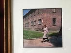 Auschwitz, World Press winnaar 2009, Verzamelen, Ophalen, 1980 tot heden, Zo goed als nieuw