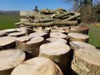 Openhaard hout - bezorgen Assen/Beilen/Groningen/Meppel, Tuin en Terras, Haardhout, Minder dan 3 m³, Ophalen of Verzenden, Overige houtsoorten