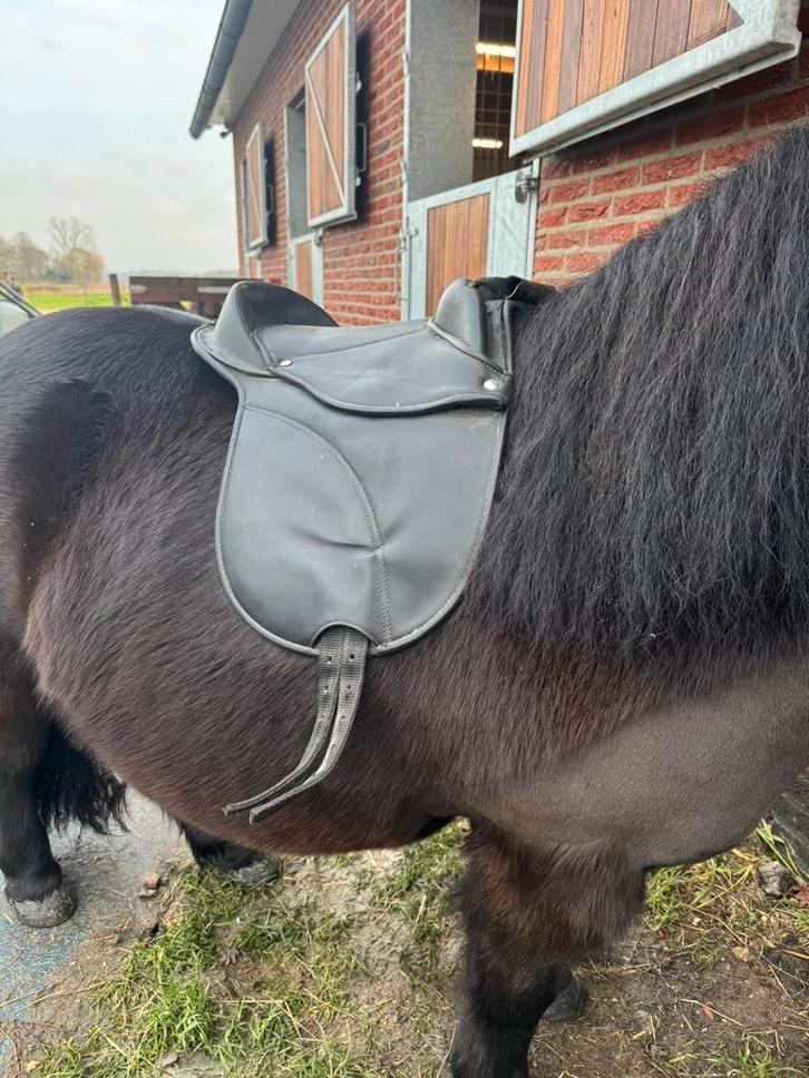 Shetlander zadel, Dieren en Toebehoren, Paarden en Pony's | Overige Paardenspullen, Zo goed als nieuw, Overige soorten, Ophalen