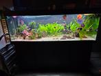 Aquarium 180x60x60, Ophalen