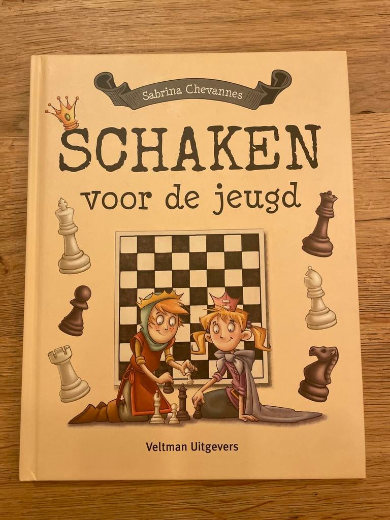 Schaken voor de jeugd - Leer schaken!, Boeken, Ophalen of Verzenden, Zo goed als nieuw, Non-fictie