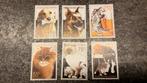(22307) Ned. Antillen, 2001, PF, HONDEN, KATTEN, Ophalen of Verzenden