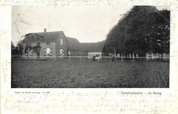 Carolinehoeve - de Steeg - 1904 gelopen beschikbaar voor biedingen