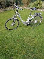 Ebike Flyer T8 deluxe, Fietsen en Brommers, Elektrische fietsen, Gebruikt, 50 km per accu of meer, 55 tot 59 cm, Ophalen
