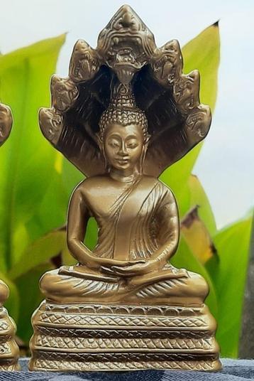Buddha Naga Boeddha met 7 koppige cobra slang,tempelbeeld,, beschikbaar voor biedingen