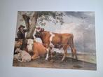 IXXI De Stier van Paulus Potter 140 x 100, Huis en Inrichting, Verzenden, Minder dan 50 cm, Schilderij, Minder dan 50 cm
