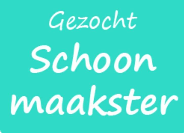 Huishoudelijke hulp gezocht, Vacatures, Vacatures | Schoonmaak en Facilitaire diensten