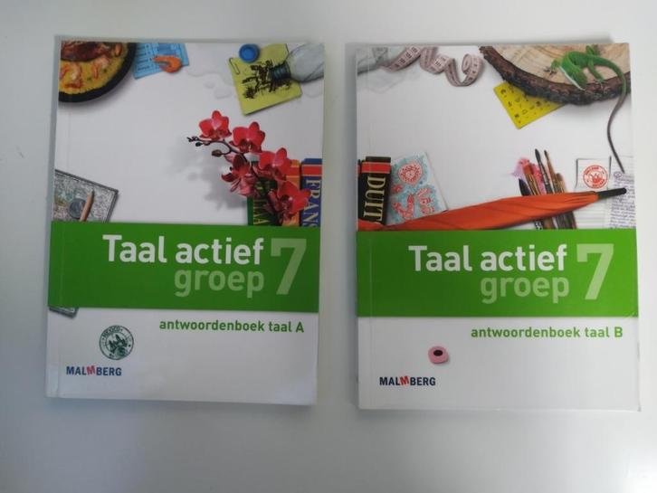 Taal Actief - Groep 7 - Antwoordenboek Taal 7A en 7B., Boeken, Schoolboeken, Zo goed als nieuw, Nederlands, Overige niveaus, Ophalen of Verzenden