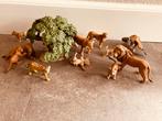 Schleich dieren wild life, Ophalen of Verzenden, Zo goed als nieuw, Beeldje of Figuurtje