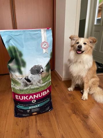 Hondevoer Eukanuba Adult M 15 kg beschikbaar voor biedingen