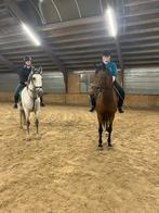 2 verzorgsters aangeboden, Ophalen of Verzenden, Zo goed als nieuw