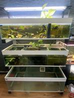 Complete - Aquarium stelling, Ophalen, Gebruikt, Leeg aquarium