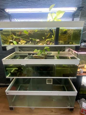 Complete - Aquarium stelling beschikbaar voor biedingen