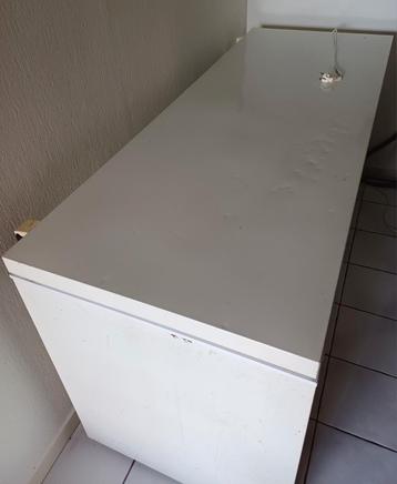 Diepvrieskist 575L beschikbaar voor biedingen