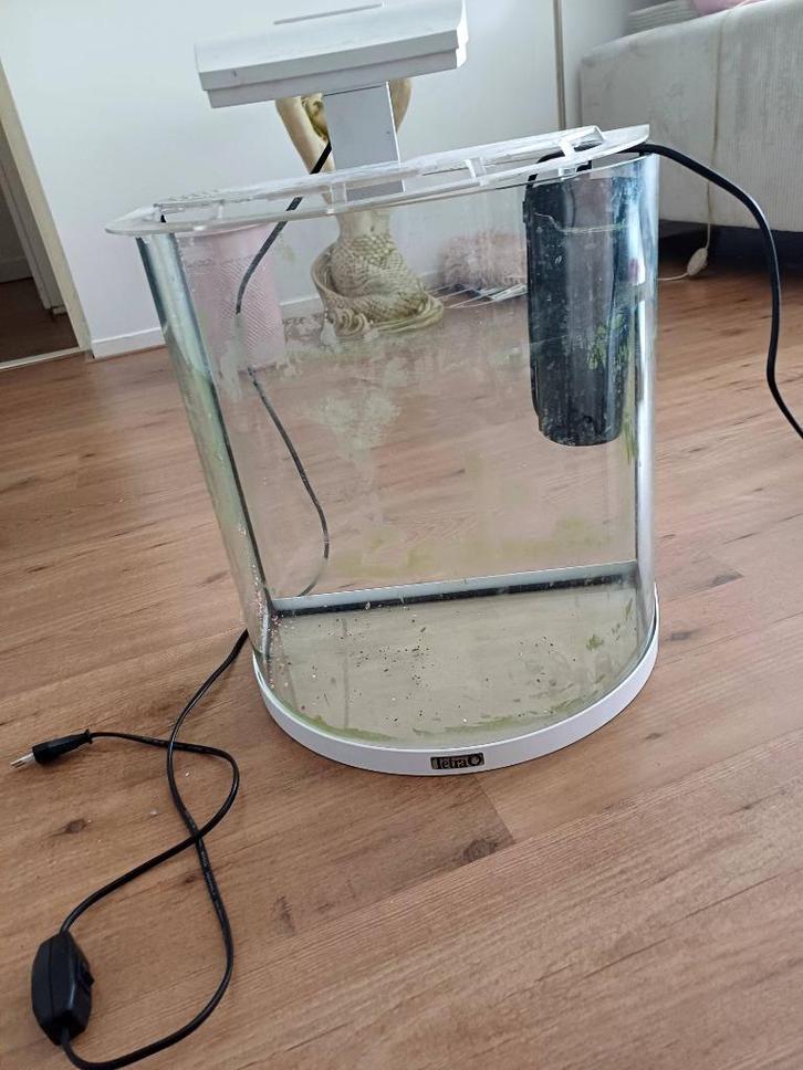 Aquarium half moon tetra, Dieren en Toebehoren, Vissen | Aquaria en Toebehoren, Zo goed als nieuw, Ophalen