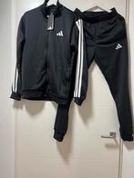 Adidas Trainingspak Zwart - Maat S - Nieuw, Kleding | Heren, Zwart, Nieuw, Ophalen of Verzenden, Algemeen