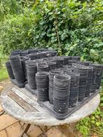 bloempotjes 3 trays, Tuin en Terras, Ophalen, Gebruikt, Minder dan 30 cm, Minder dan 60 cm