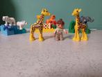 Dierentuin duplo, Ophalen of Verzenden, Gebruikt, Overige merken
