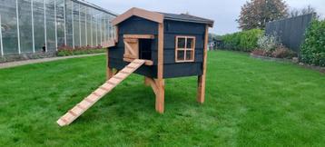 Robuust kippenhok Douglas beschikbaar voor biedingen