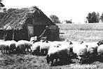 975150 Voorthuizen Gelopen met postzegel, Ophalen of Verzenden, 1960 tot 1980, Gelopen, Gelderland