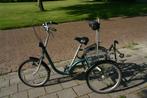 Van Raam maxi 2 driewieler, Ophalen, Gebruikt, Van Raam
