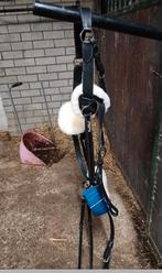 Kentaur 5 punts borst tuig nieuw, Ophalen of Verzenden, Nieuw, Springen