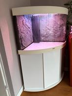 Juwel trigon 190 hoek aquarium - nieuwstaat, Dieren en Toebehoren, Vissen | Aquaria en Toebehoren, Ophalen, Zo goed als nieuw