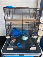Hamsterkooi met voer zaagsel etc., Kooi, Gebruikt, Minder dan 75 cm, Ophalen