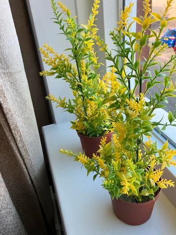 2 Gele Kunstplantjes beschikbaar voor biedingen