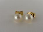 Gouden oorknopjes met parel                               G9, Sieraden, Tassen en Uiterlijk, Oorbellen, Gebruikt, ., Ophalen of Verzenden