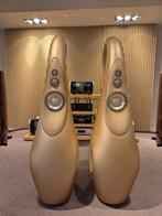 Vivid Audio GIYA G2 S2 - Luidsprekers, Overige merken, Ophalen of Verzenden, Zo goed als nieuw, 120 watt of meer